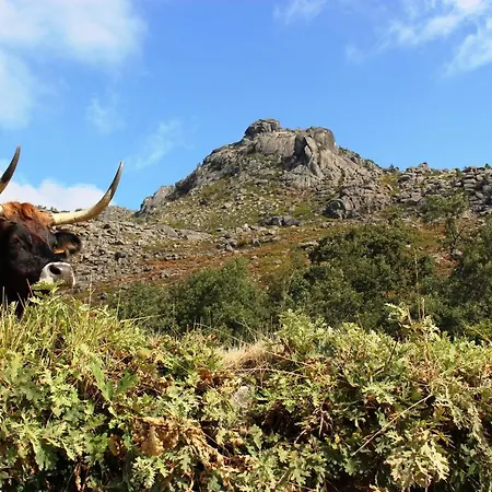 Beirais Do Alvao Holiday home