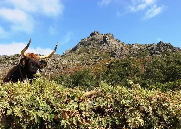 Beirais Do Alvao בית נופש